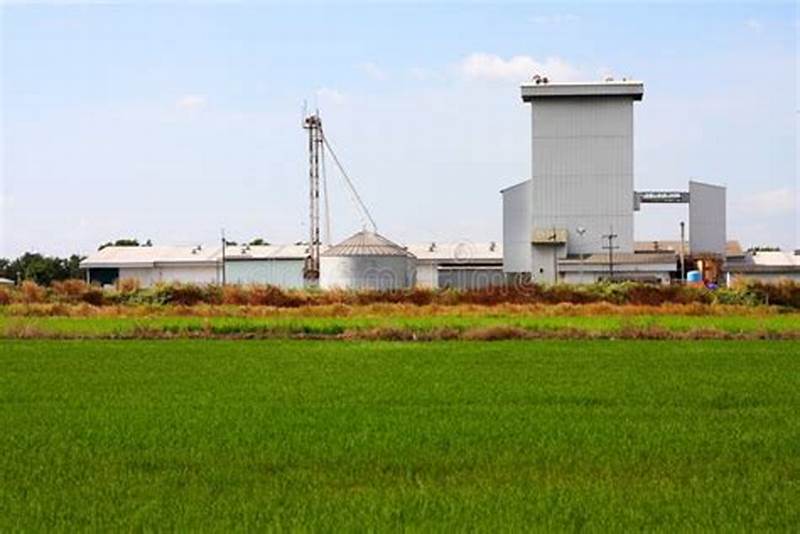 AGROPECUARIA LOS ALTARES